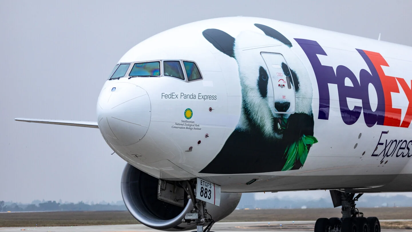 大熊猫“贝贝”搭乘“FedEx熊猫快递号”从美国抵达中国