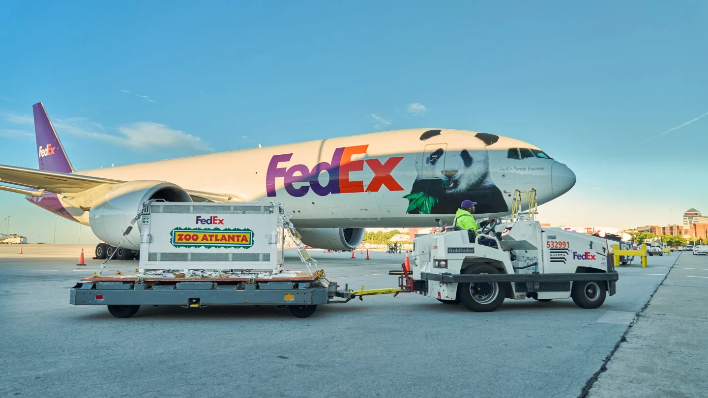 “FedEx熊猫快递号”护送大熊猫从中国赴美,支持全球保护工作